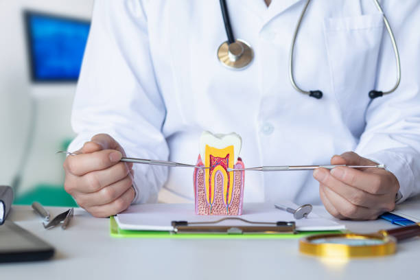 Best Emergency Cosmetic Dentistry in Mino Tassajara, CA